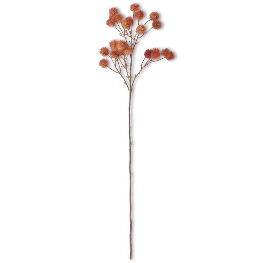 Orange Sycamore Fruit Ball Stem