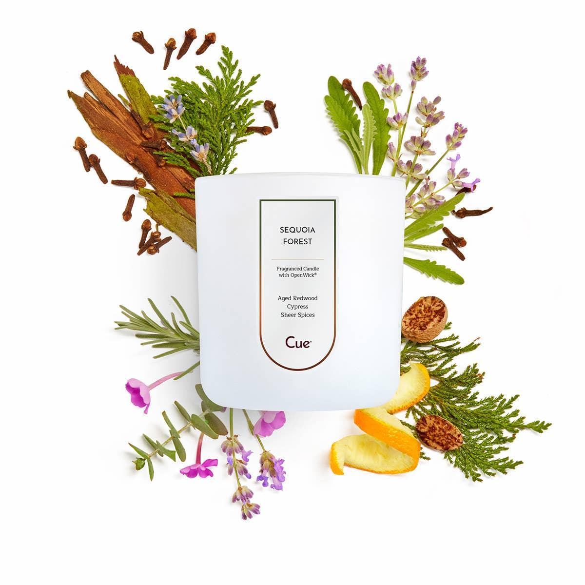 Sequoia Forest Candle