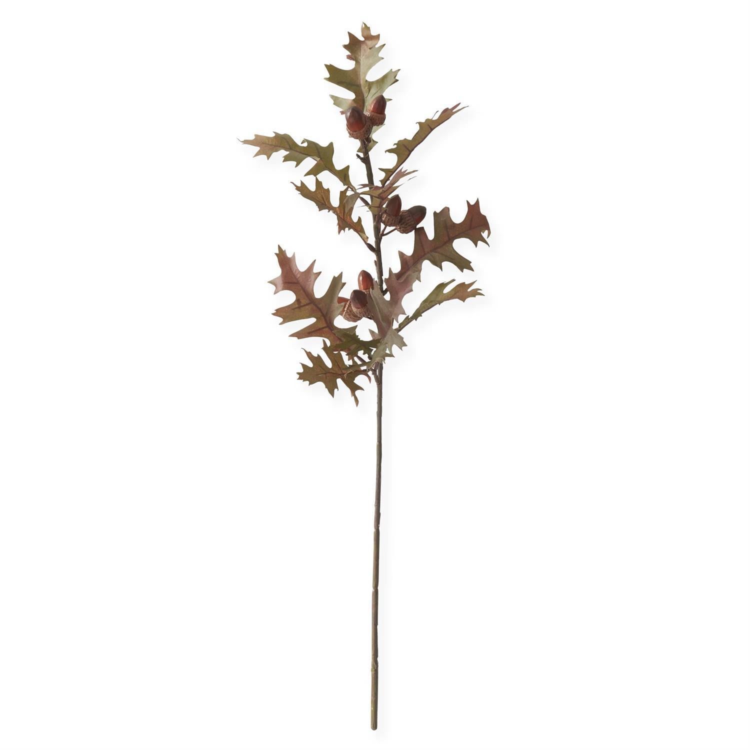 Oak Leaf Branch