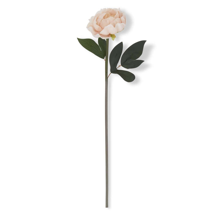 Light Peach Real Touch Peony