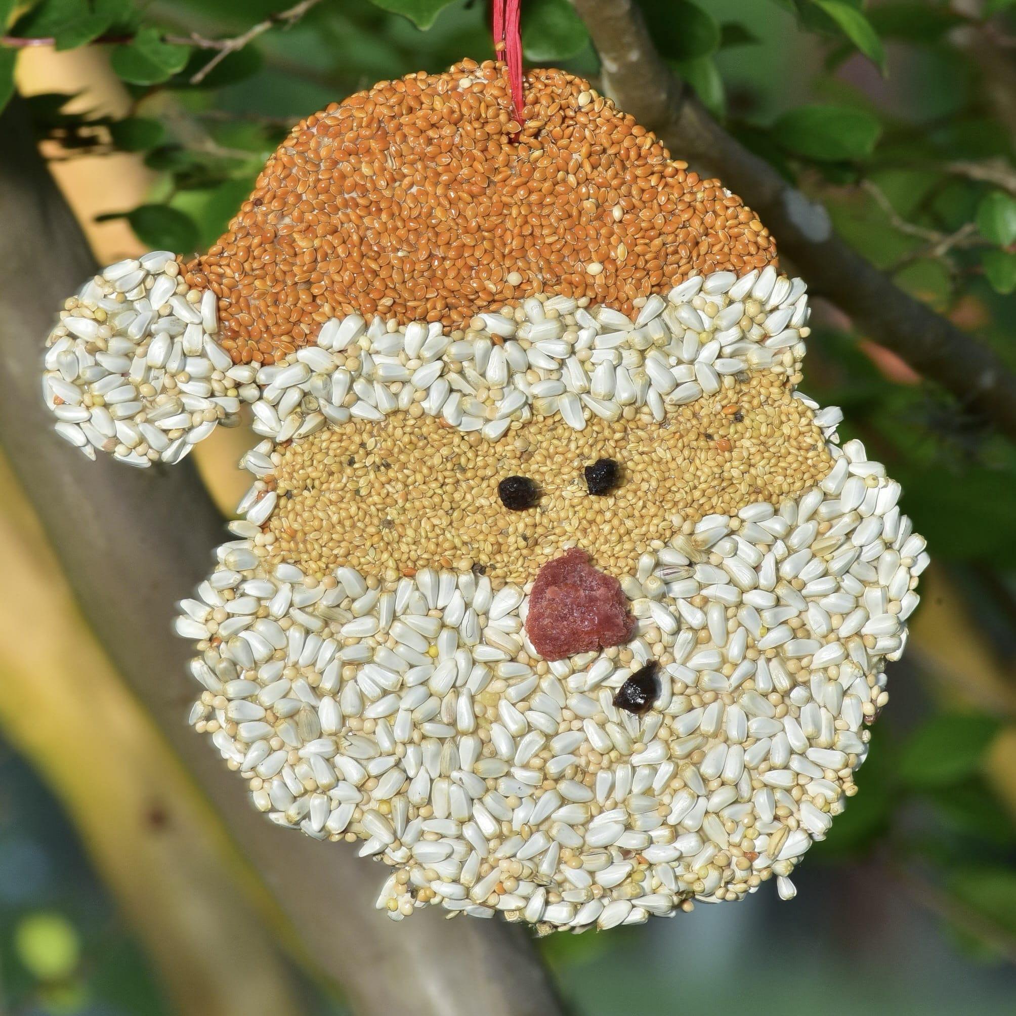 Bird Seed Cookie