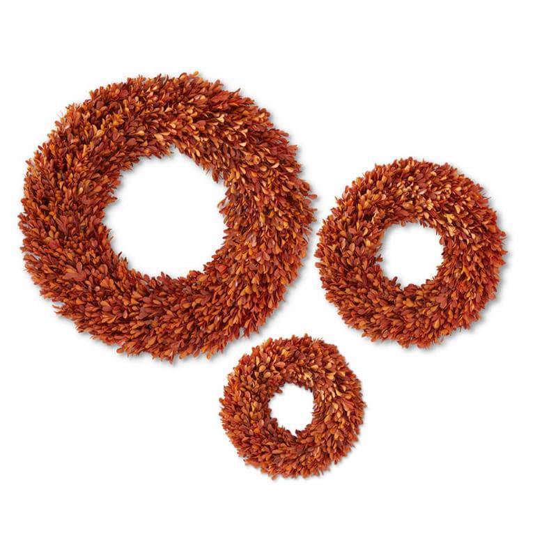 Orange Preserved Boxwood Wreath