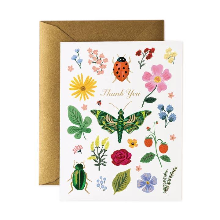 Curio Thank You Boxed Cards