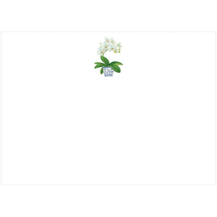 White Orchid Correspondence Cards