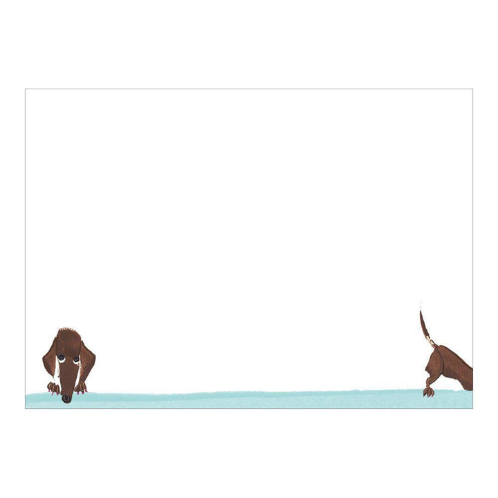 Doggy Paddle Boxed Correspondence Cards