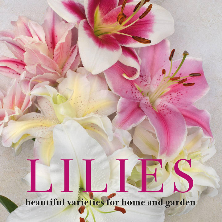 Lilies: Beautiful Varieties For Home & Garden