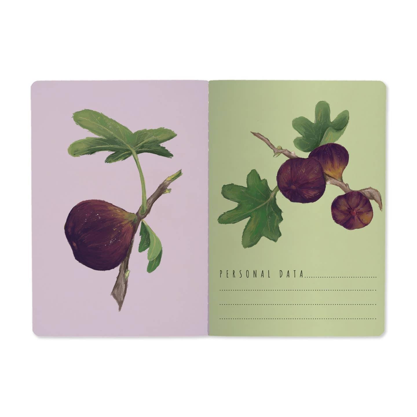 Figs On White Notebook