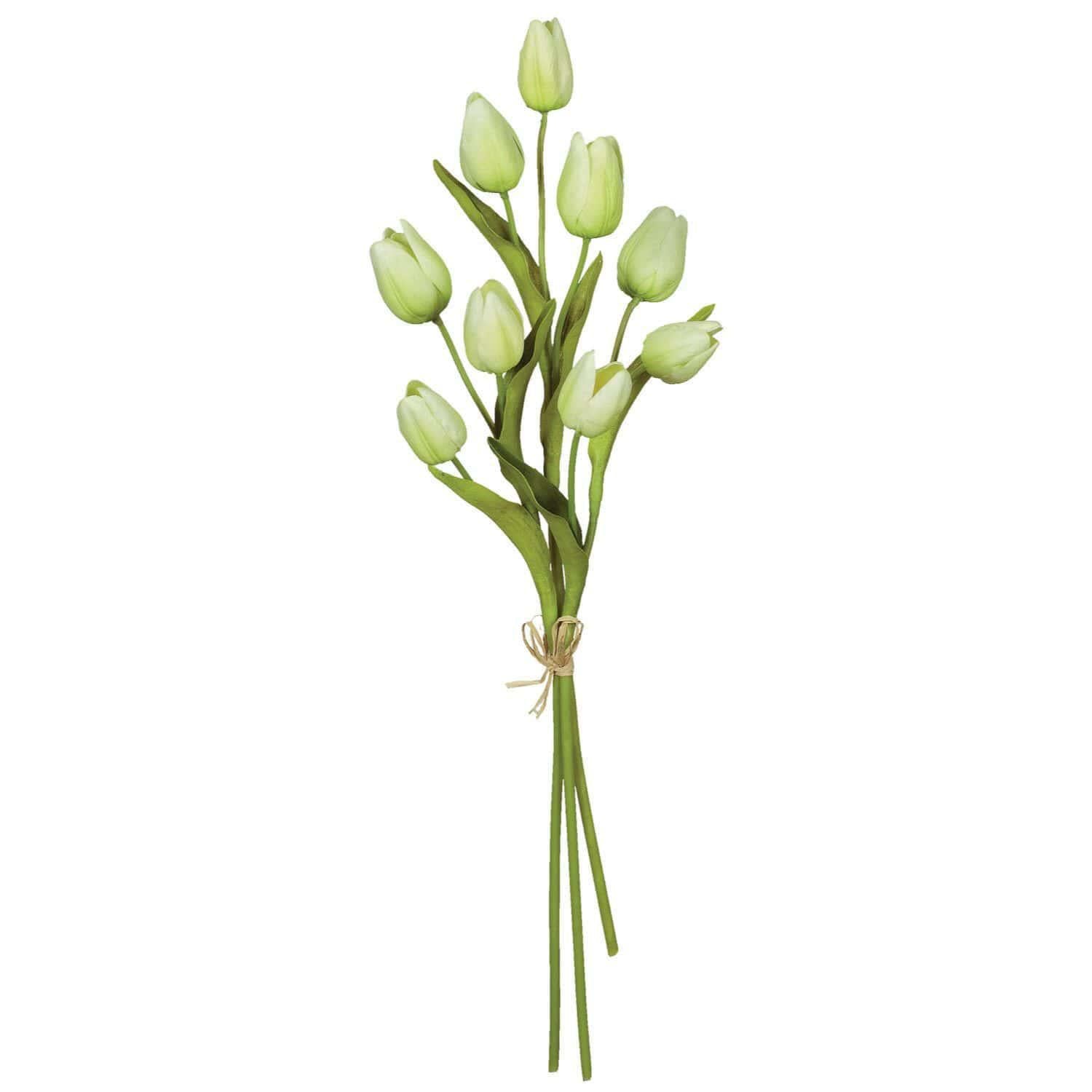 White Tulip Bouquet