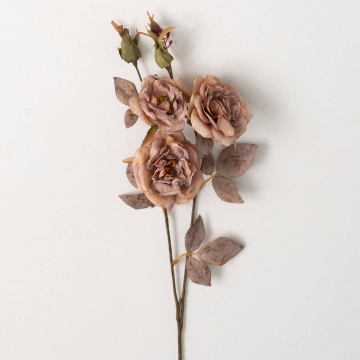 Rust Rose Stem