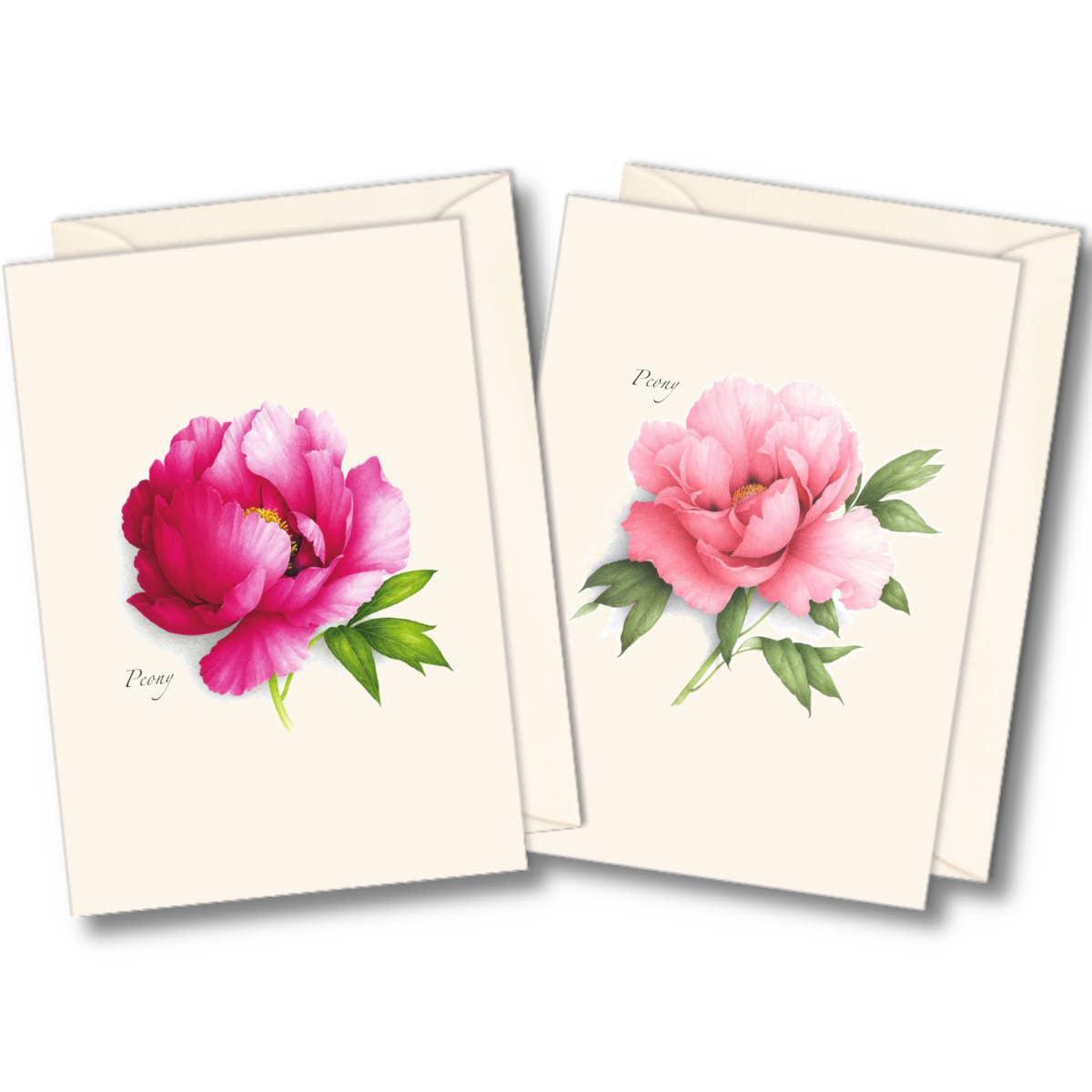 Peony Boxed Notecard Set