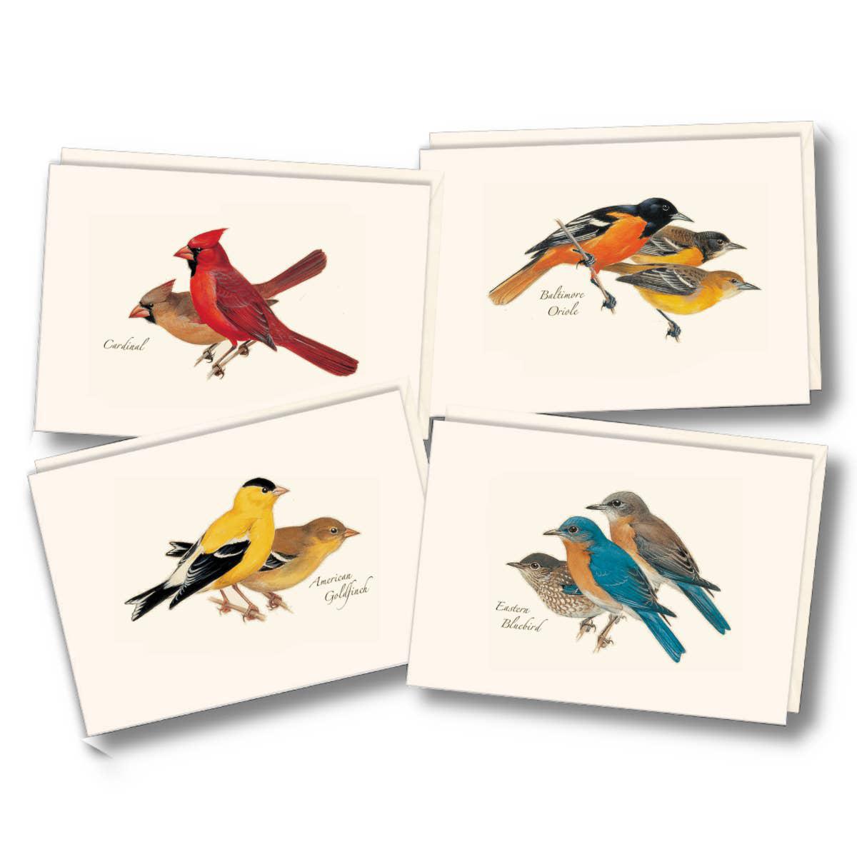 Assorted Bird Boxed Notecards