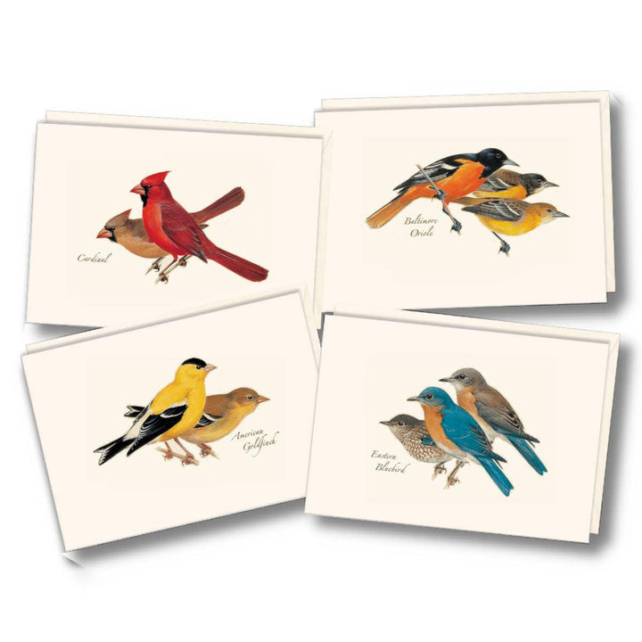 Assorted Bird Boxed Notecards