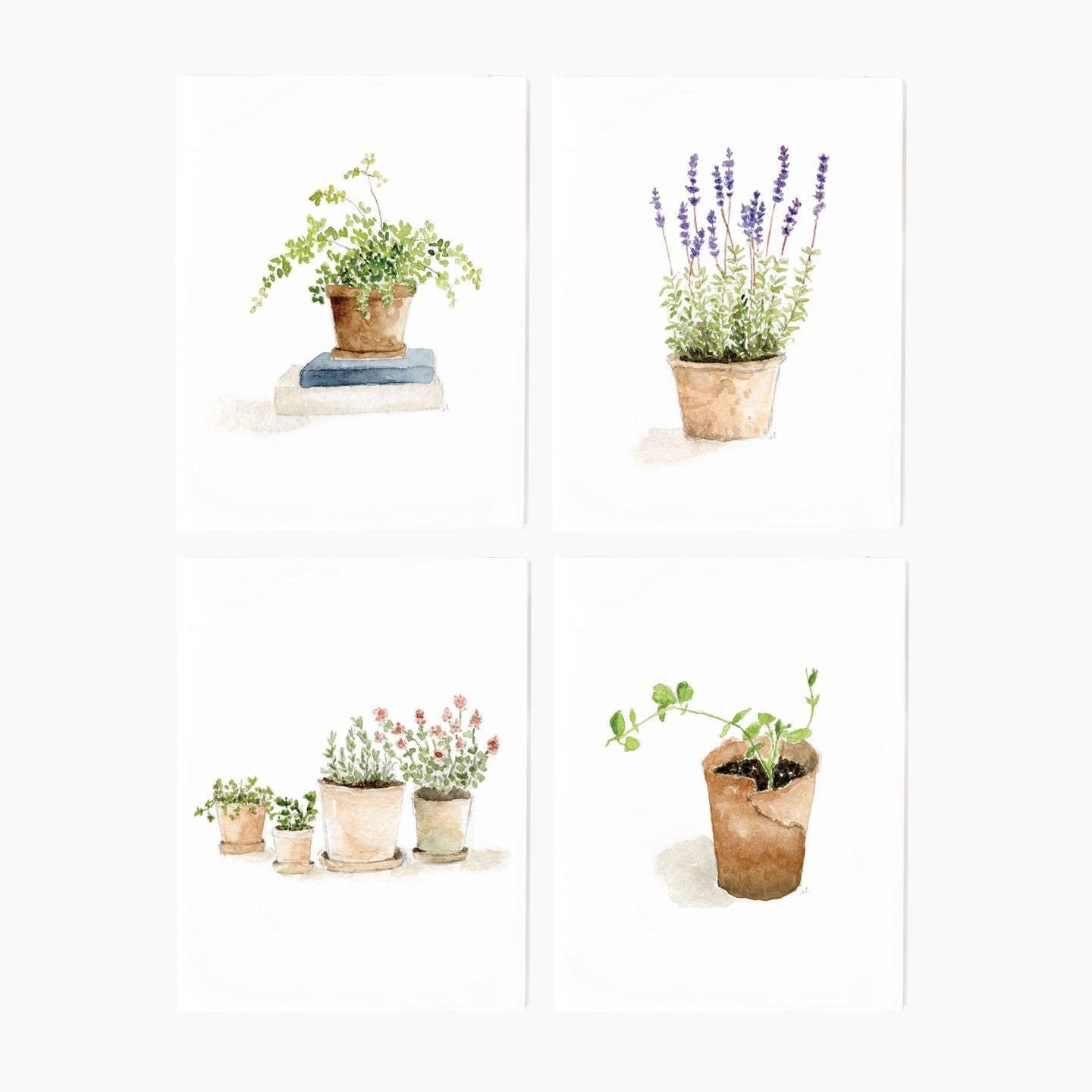 Potted Plants Boxed Notecards
