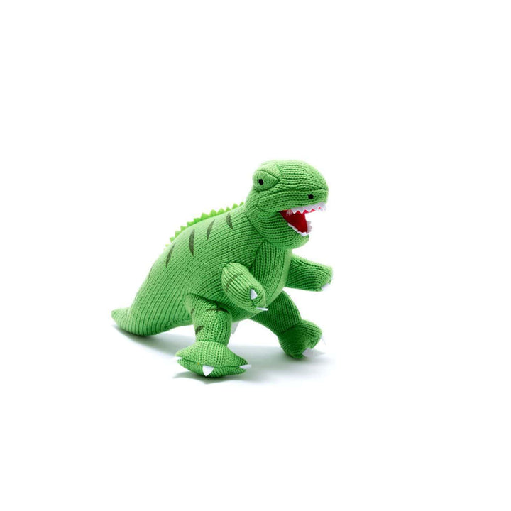 Terry T-Rex Dinosaur Plush