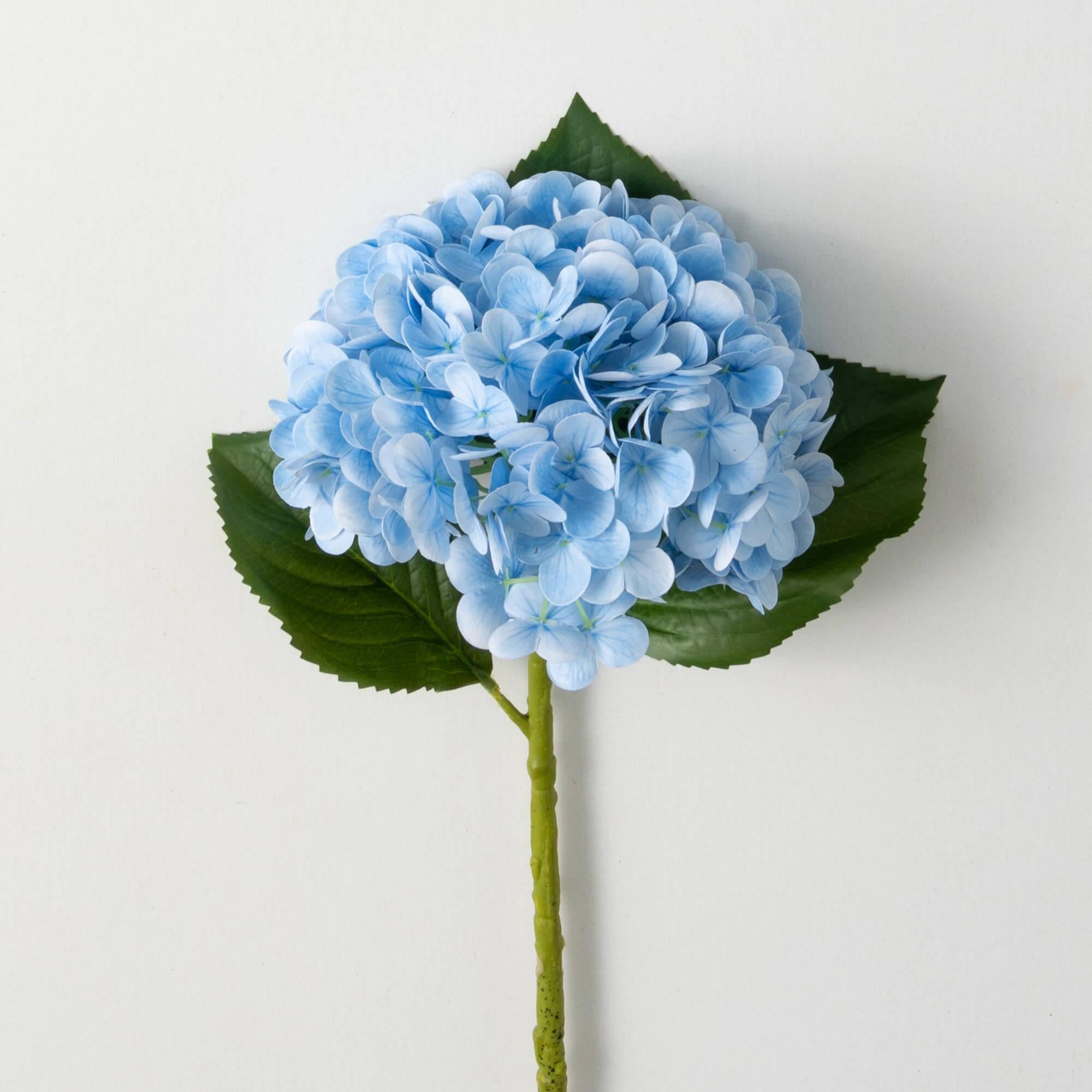 Vivid Blue Hydrangea Stem
