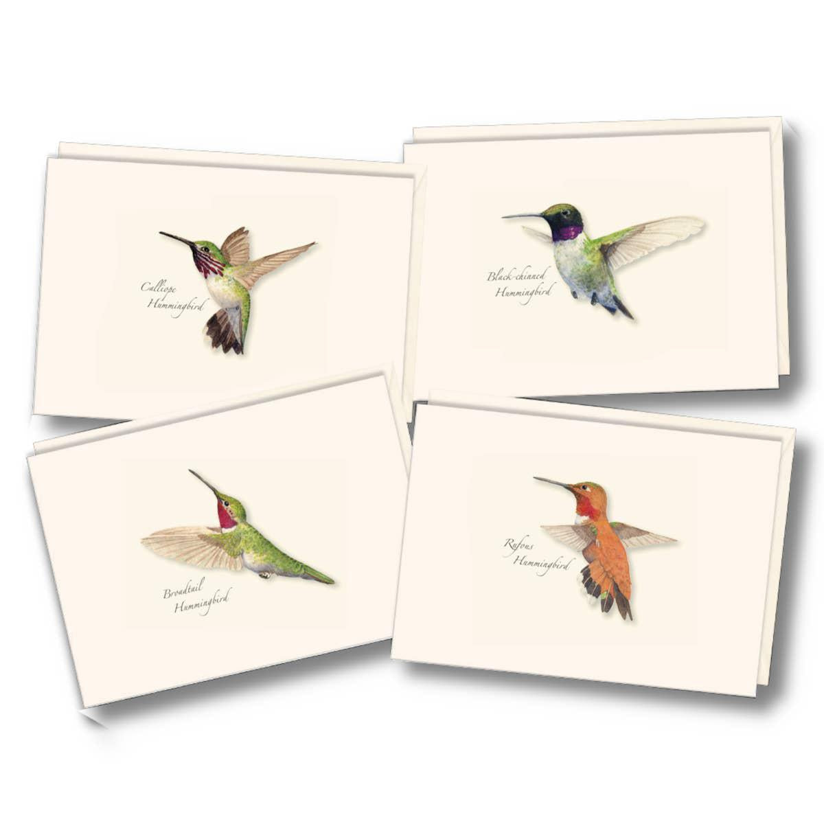 Western Hummingbird Boxed Notecards