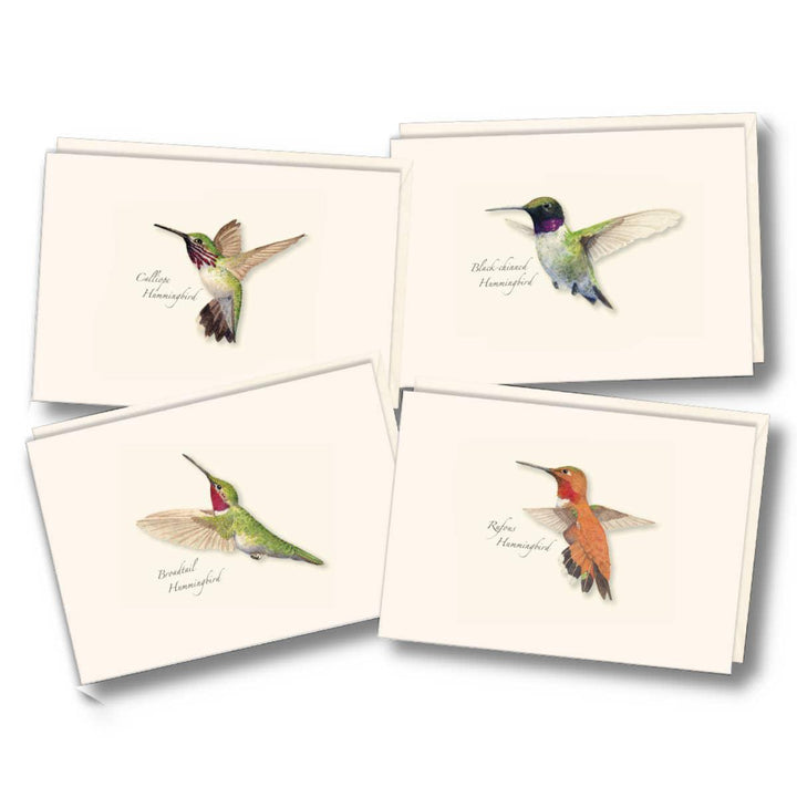 Western Hummingbird Boxed Notecards