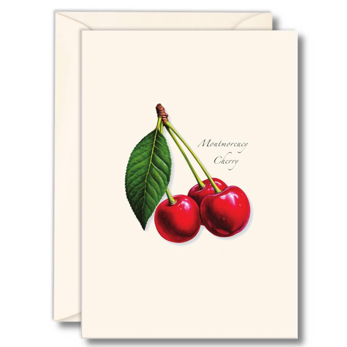 Montmorency Cherry Boxed Notecard Set