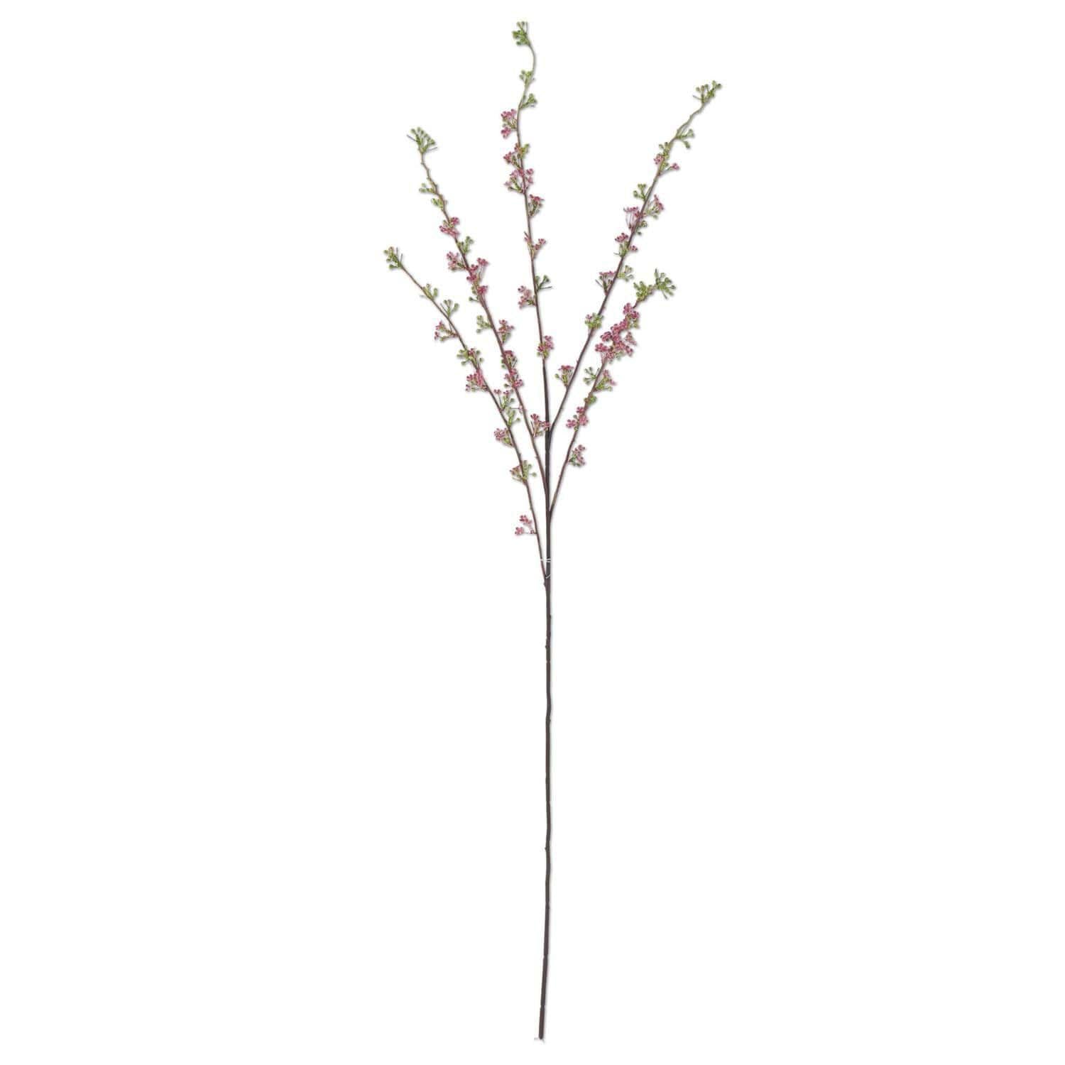 Pink Hoary Willow Spray
