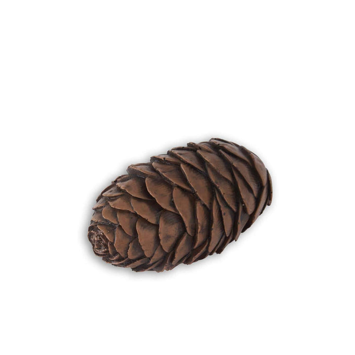 Pinecone