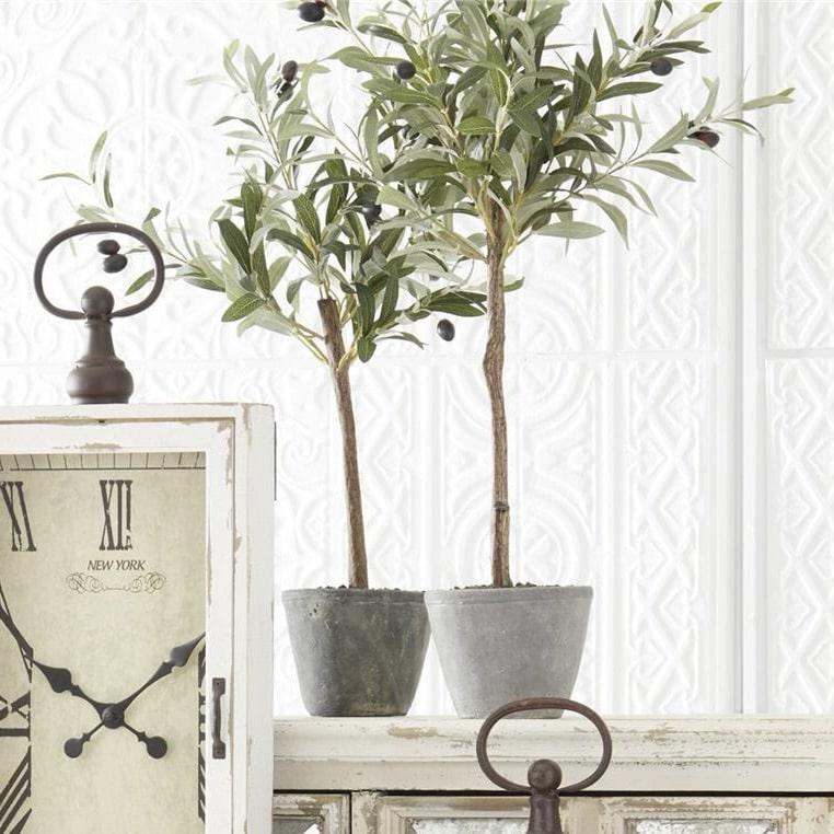 Olive Tree in Gray Container