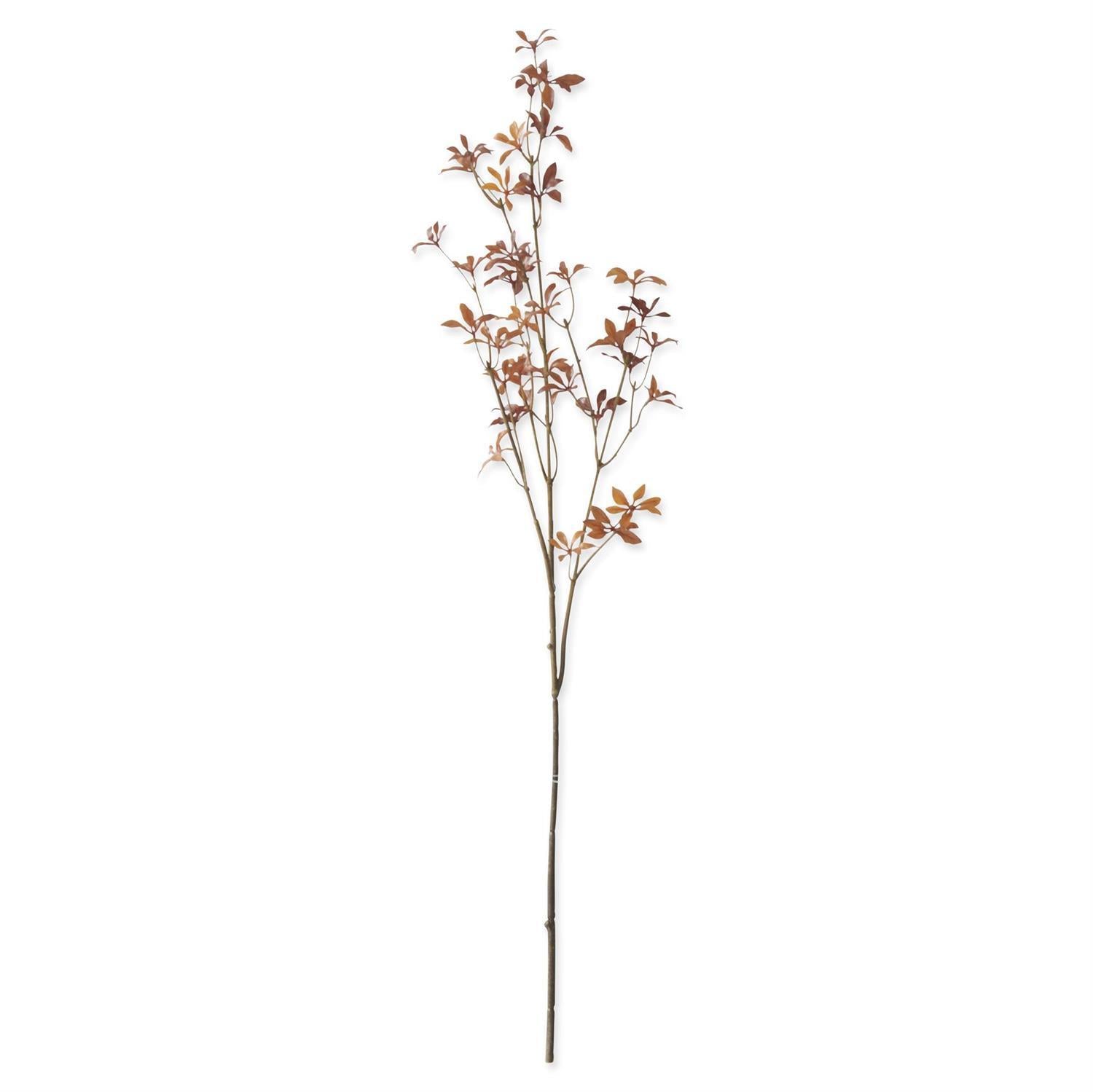 Ludwigia Fall Foliage Leaf Stem