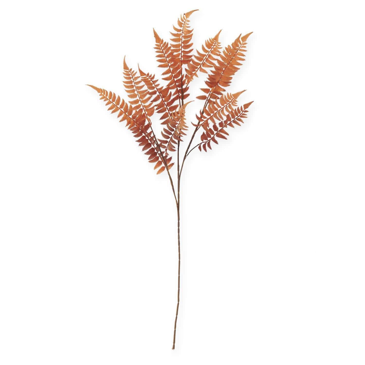 Copper Lady Fern Spray