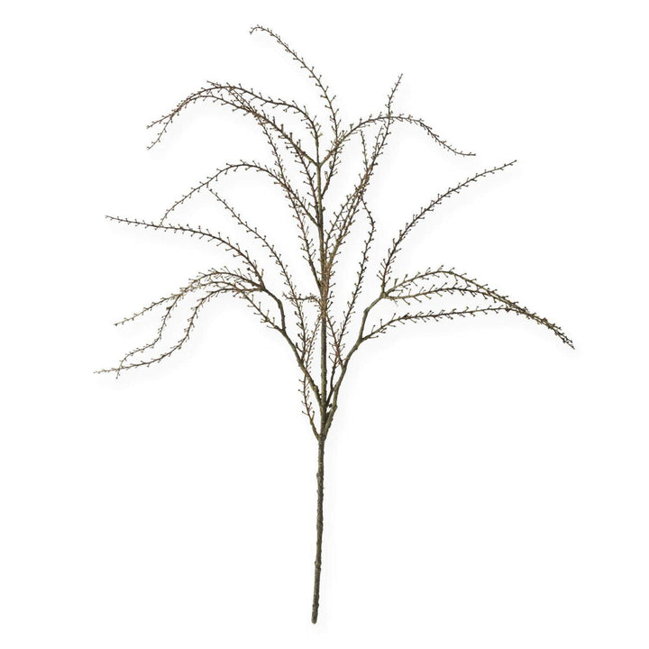 Twig Branch