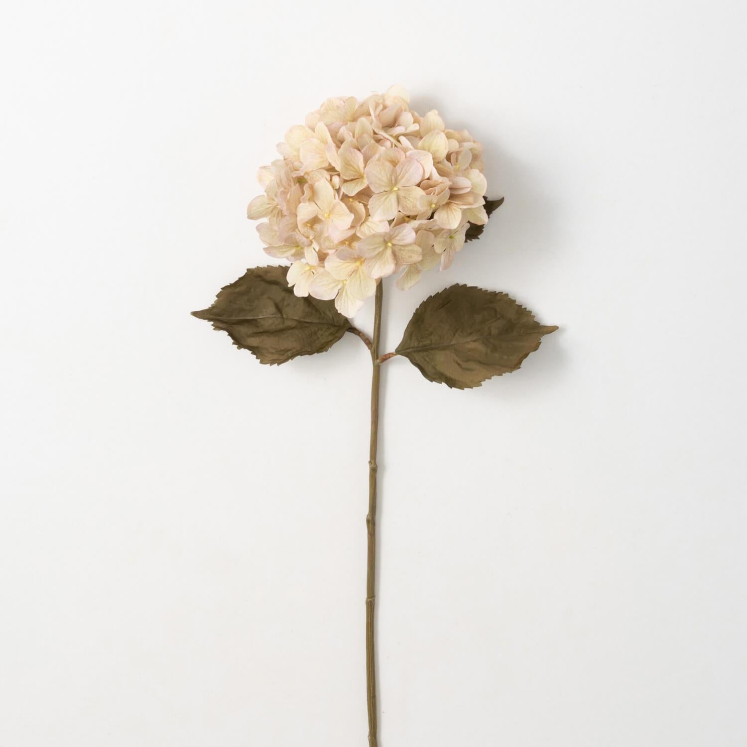 Cream Hydrangea Stem