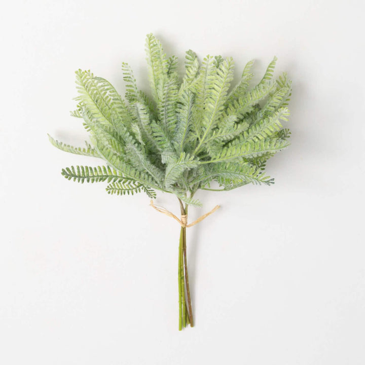 Mint Green Fern Bush