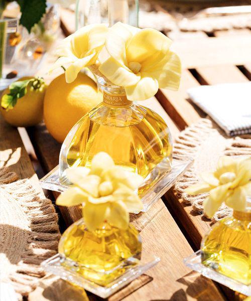 PetiteEssence Diffuser | Golden Cassis