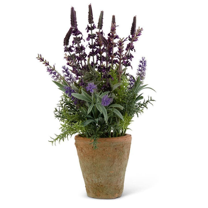 Purple Lavender in Distressed Clay Pot