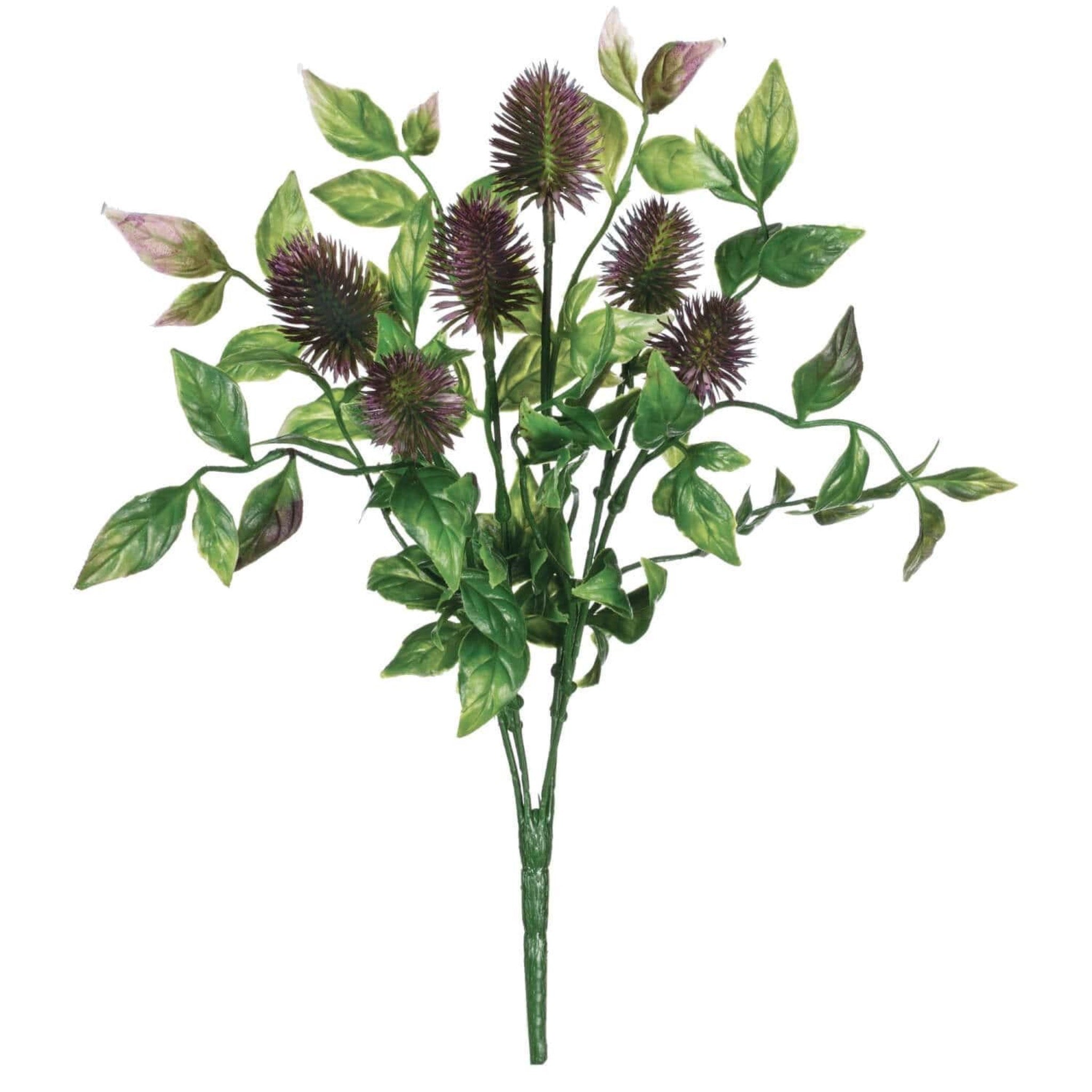 Senecio Pick | Purple & Green