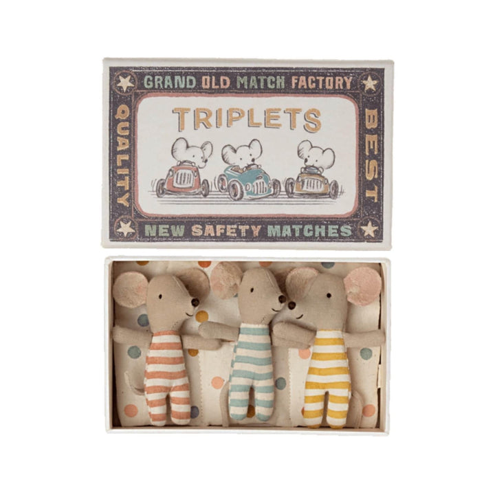 Triplets, Baby Mice in Matchbox