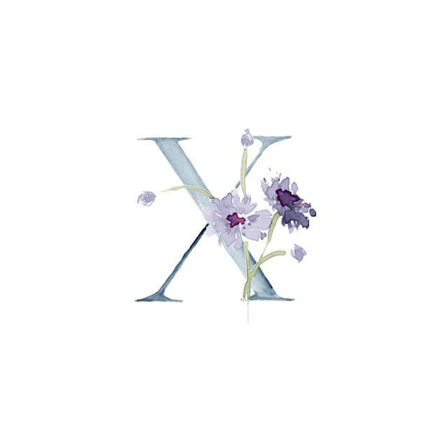 Wildflower Alphabet Notecard Set