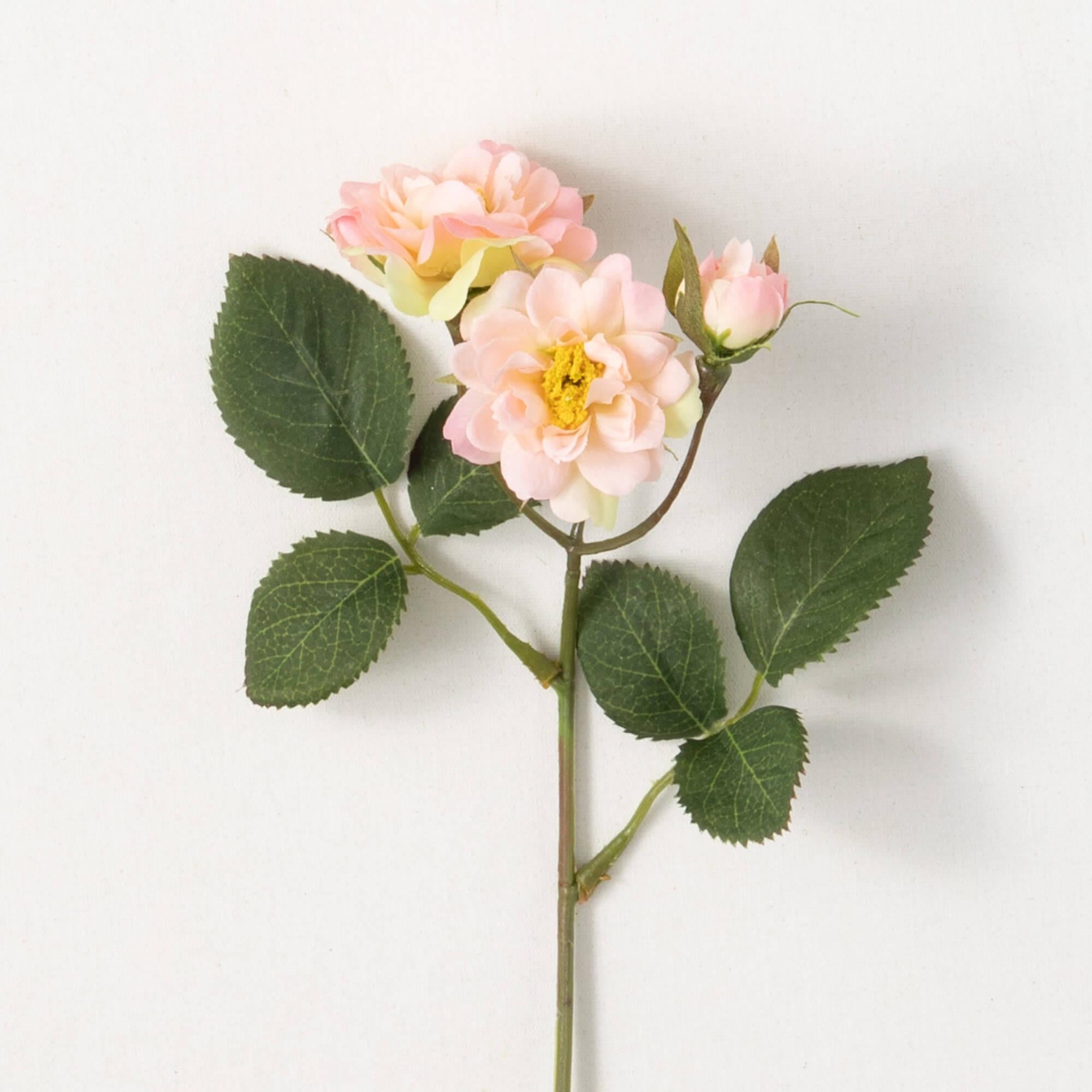 Cream Pink Rose Spray