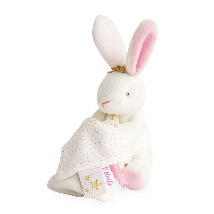 Pink Bunny Plush with Blanket