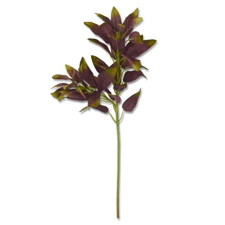 Green & Burgundy Leaf Stem