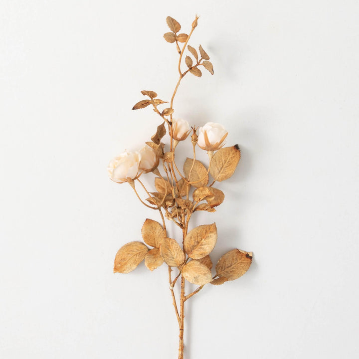 Cream Rose Spray